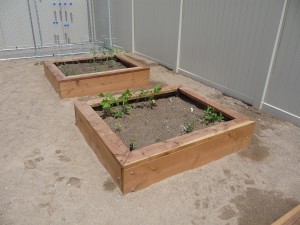 gardenboxes